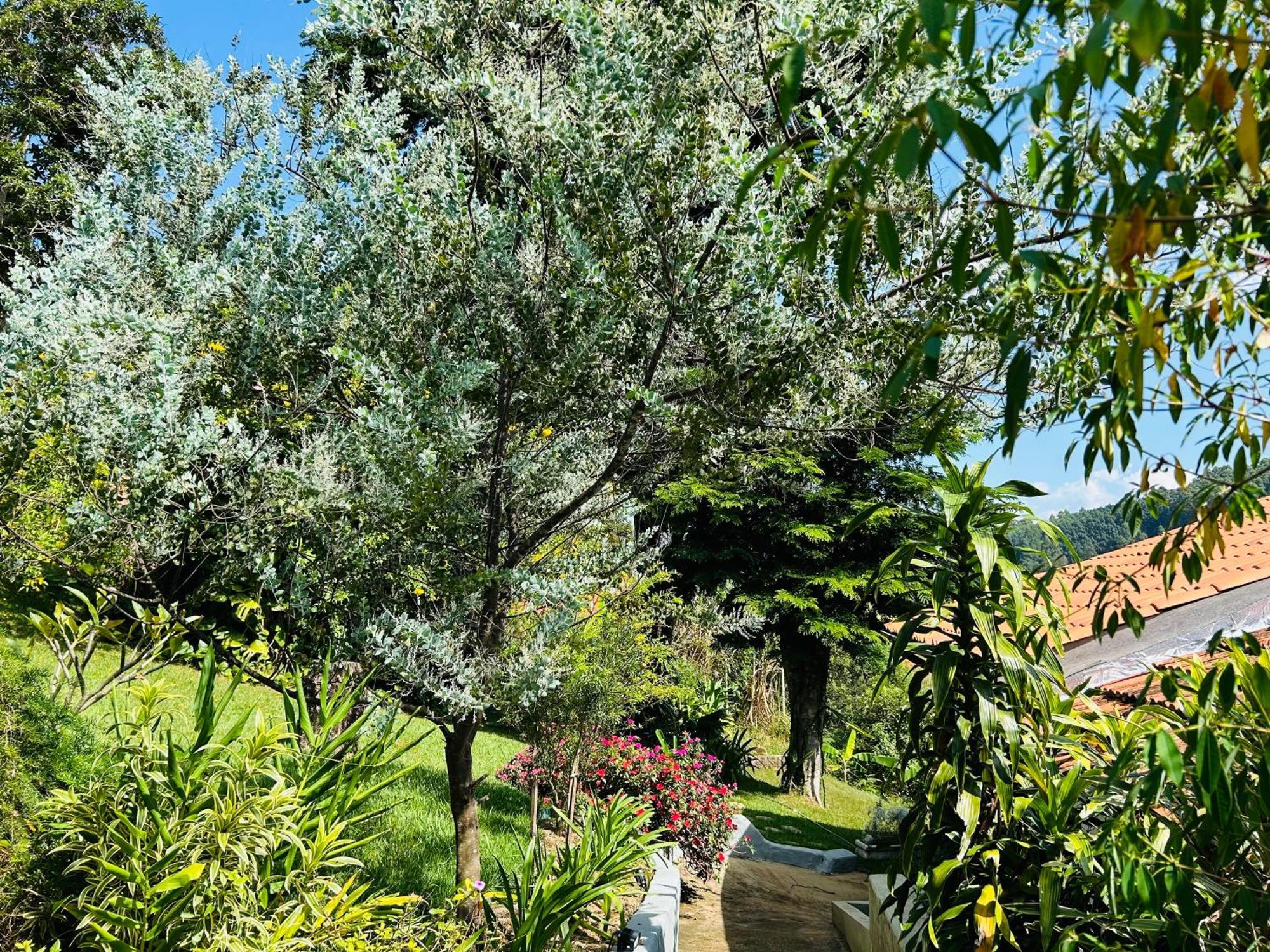 Villa Garibaldi Joanópolis المظهر الخارجي الصورة